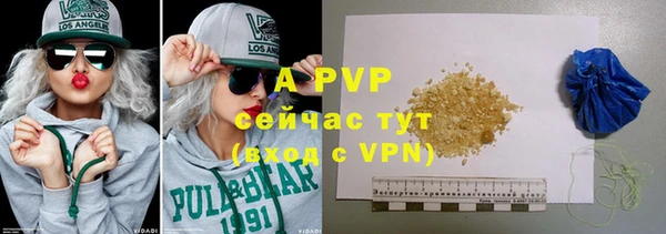 крисы Абаза