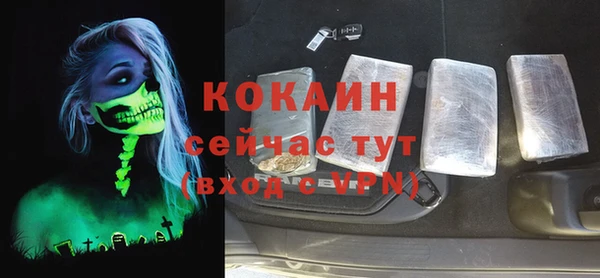 крисы Абаза