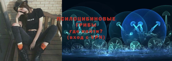 крисы Абаза