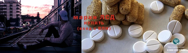 крисы Абаза