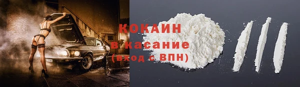 крисы Абаза