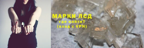 крисы Абаза