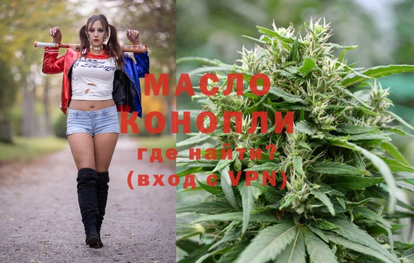 крисы Абаза