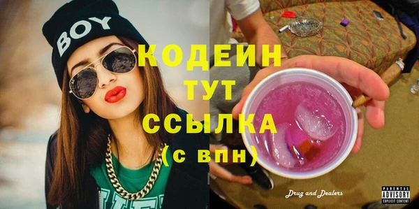 крисы Абаза